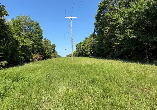 1st image of 000 Tract C County Road 516, Berryville, AR 72616 | MLS# 1317223