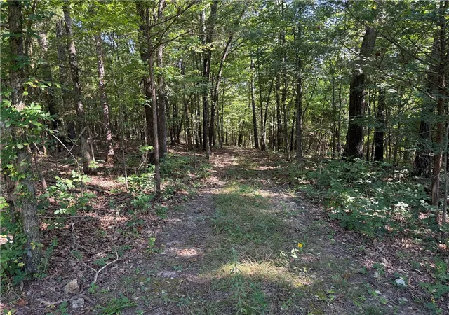 Photo 3 of Sale Pending at 000 Tract C County Rd 516, Berryville, AR 72616 | MLS# 1317223 | Listing updated on 2026-08-20