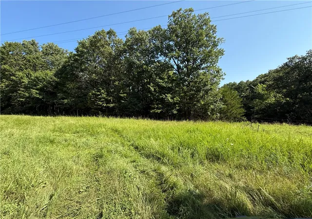 Photo 4 of Sale Pending at 000 Tract C County Rd 516, Berryville, AR 72616 | MLS# 1317223 | Listing updated on 2026-08-20