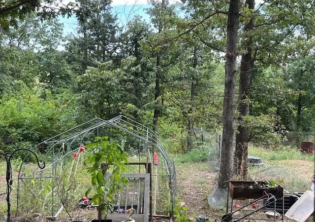 14th image of 583 County Road 6561, Berryville, AR 72616 | MLS# 1317964