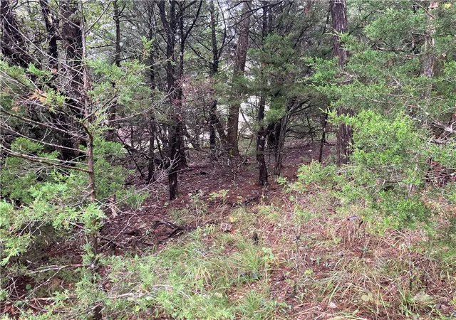 Photo 1 of Land for sale at Tbd Hillside Dr, Holiday Island, AR 72631 | MLS# 1319433 | Listing updated on 2026-08-26