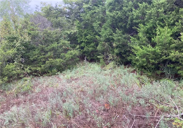 Photo 2 of Land for sale at Tbd Hillside Dr, Holiday Island, AR 72631 | MLS# 1319433 | Listing updated on 2026-08-26