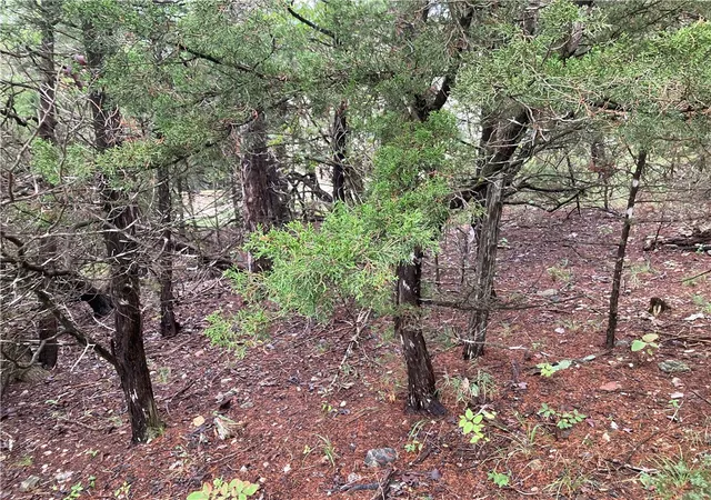 Photo 3 of Land for sale at Tbd Hillside Dr, Holiday Island, AR 72631 | MLS# 1319433 | Listing updated on 2026-08-26