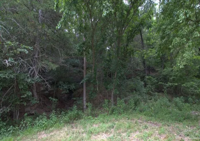 Photo 2 of Land for sale at 1075 Acres Younkers Ln, Noel, MO 64854 | MLS# 1319985 | Listing updated on 2026-08-26