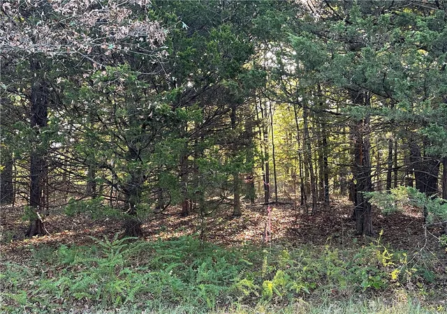 Photo 3 of Sale Pending at 001 Hand Cvs Rd, Elizabeth, AR 72531 | MLS# 1327744 | Listing updated on 2026-08-25