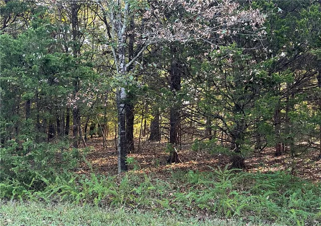 Photo 3 of Sale Pending at 001 Hand Cvs Rd, Elizabeth, AR 72531 | MLS# 1327744 | Listing updated on 2026-08-25
