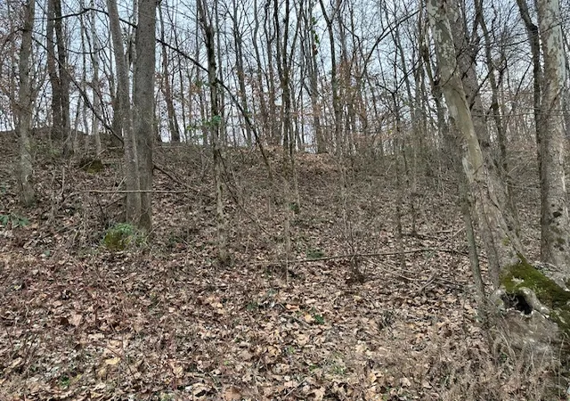 11th image of 18 Nc 8634, Parthenon, AR 72666 | MLS# 1330894