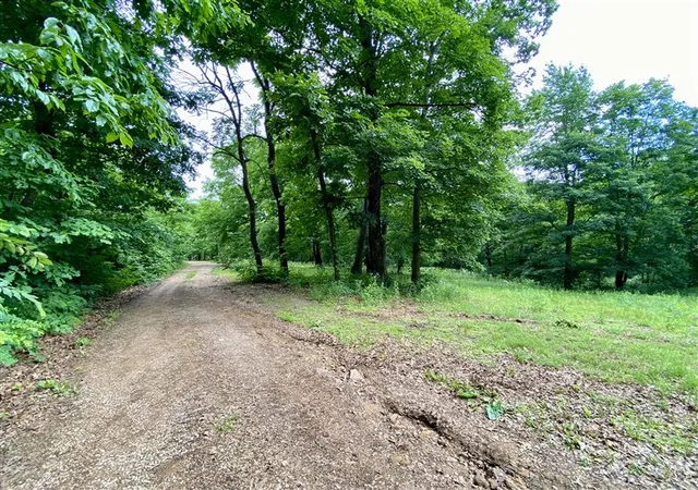 3rd image of 4728 County Road 905, Alpena, AR 72611 | MLS# 1331292