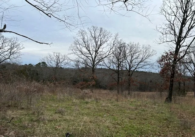 1st image of 1295 Maple Springs Rd, Russellville, AR 72802 | MLS# 1331626