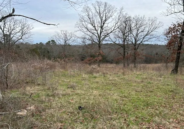Photo 3 of Land for sale at 1295 Maple Springs Rd, Russellville, AR 72802 | MLS# 1331626 | Listing updated on 2026-08-11