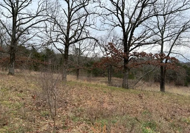 Photo 3 of House for sale at 1295 Maple Springs Rd, Russellville, AR 72802 | MLS# 1331626 | Listing updated on 2026-08-11