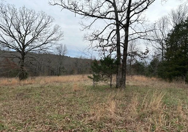 Photo 4 of House for sale at 1295 Maple Springs Rd, Russellville, AR 72802 | MLS# 1331626 | Listing updated on 2026-08-11