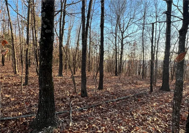 1st image of Prayer Mountain Dr, Harrison, AR 72601 | MLS# 1333771