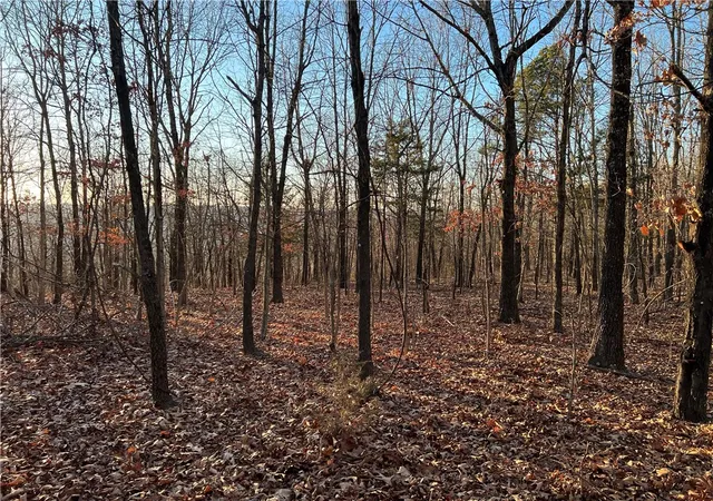 2nd image of Prayer Mountain Dr, Harrison, AR 72601 | MLS# 1333771