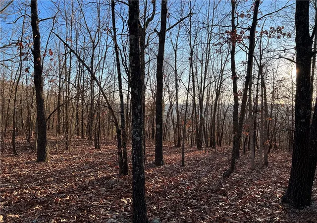 Photo 3 of Land for sale at Prayer Mountain Dr, Harrison, AR 72601 | MLS# 1333771 | Listing updated on 2026-08-20