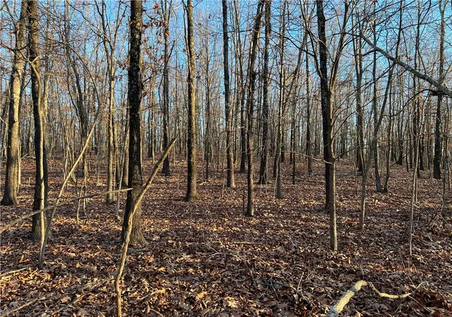 Photo 4 of House for sale at Prayer Mountain Dr, Harrison, AR 72601 | MLS# 1333771 | Listing updated on 2026-08-20