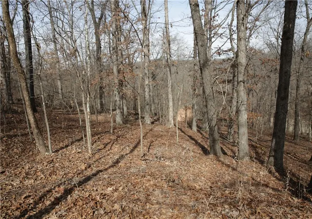 2nd image of Lot 11 Kirkpatrick Wy, Bella Vista, AR 72715 | MLS# 1336096