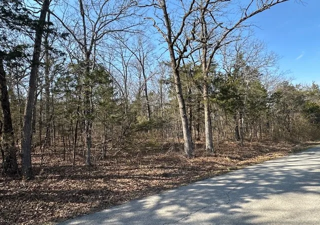 Photo 1 of Land for sale at Orchard, Flippin, AR 72634 | MLS# 1336874 | Listing updated on 2026-08-24