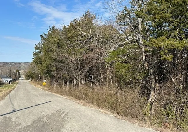 Photo 2 of Land for sale at Orchard, Flippin, AR 72634 | MLS# 1336874 | Listing updated on 2026-08-24