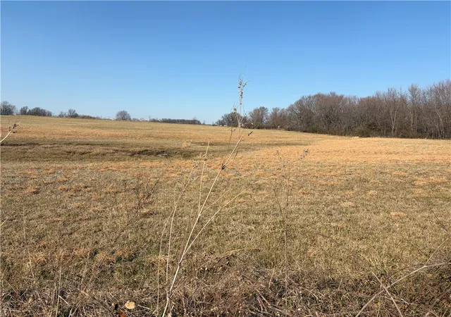 Photo 2 of Land for sale at Curtis Rd, Lincoln, AR 72744 | MLS# 1337749 | Listing updated on 2026-08-25