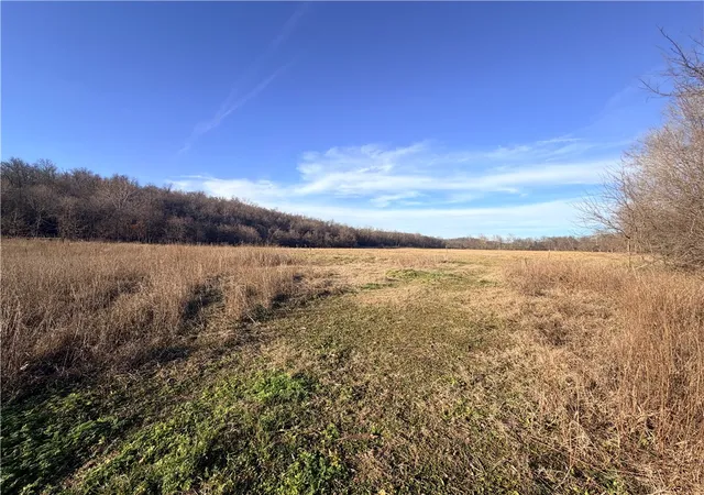 Photo 4 of Land for sale at 40 Acres Business Hwy 71, Anderson, MO 64831 | MLS# 1340095 | Listing updated on 2026-09-22