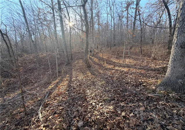Photo 3 of House for sale at 36 Acres Hagee Rd, Anderson, MO 64831 | MLS# 1340097 | Listing updated on 2026-08-20