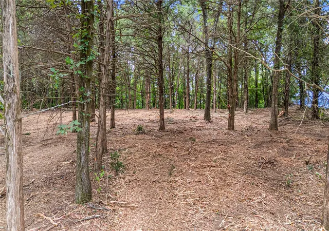 4th image of 7 Ridgeview Ln, Russellville, AR 72802 | MLS# 1341246