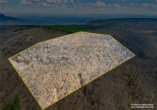Photo 1 of Land for sale at 40 Acres, Dardanelle, AR 72834 | MLS# 1341134 | Listing updated on 2026-08-18