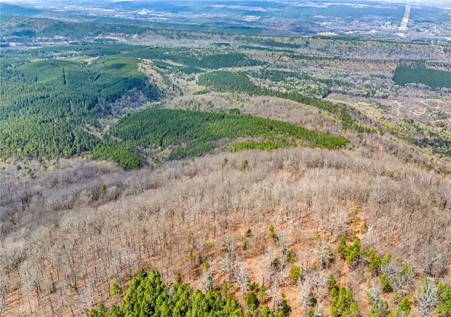 Photo 2 of Land for sale at 40 Acres, Dardanelle, AR 72834 | MLS# 1341134 | Listing updated on 2026-08-18