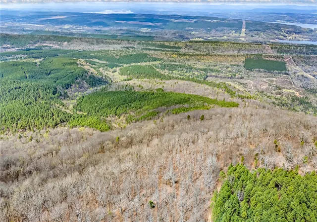 Photo 3 of Land for sale at 40 Acres, Dardanelle, AR 72834 | MLS# 1341134 | Listing updated on 2026-08-18