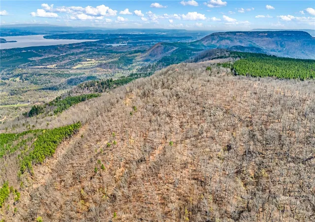 Photo 3 of Land for sale at 40 Acres, Dardanelle, AR 72834 | MLS# 1341134 | Listing updated on 2026-08-18
