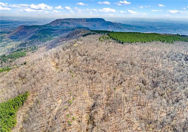 Photo 4 of Land for sale at 40 Acres, Dardanelle, AR 72834 | MLS# 1341134 | Listing updated on 2026-08-18