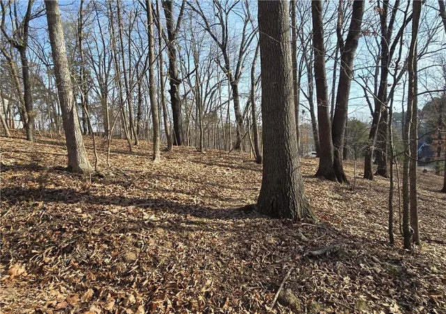 1st image of 44 Acres Ellenbarger Wc 516, Springdale, AR 72764 | MLS# 1341906