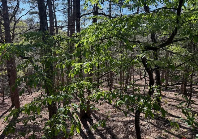 2nd image of 40 E Mountain Dr, Eureka Springs, AR 72632 | MLS# 1343350