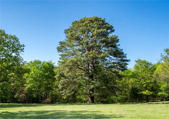 18th image of Tbd E 610 Rd, Watts, OK 74964 | MLS# 1343616