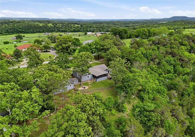 34th image of 82 County Road 327, Berryville, AR 72616 | MLS# 1344751
