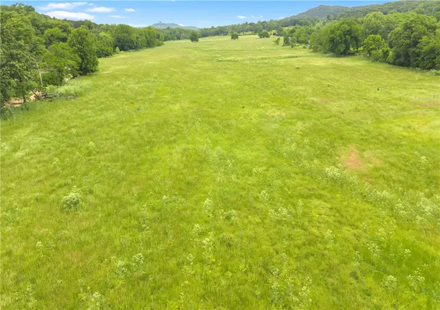 11th image of Tbd Cr 425, Berryville, AR 72616 | MLS# 1347782