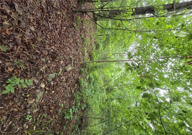 31st image of 450 County Road 107, Norfork, AR 72658 | MLS# 1349523