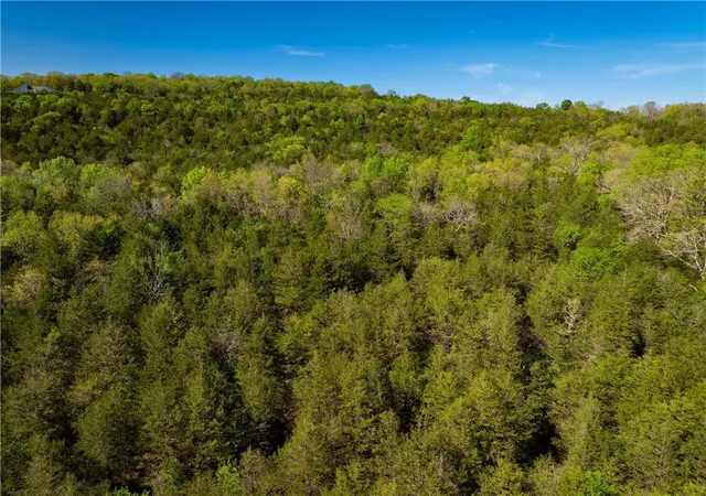 Photo 1 of Sale Pending at 401 Cr 246, Berryville, AR 72616 | MLS# 1351071 | Listing updated on 2026-08-24
