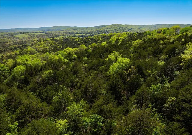 Photo 3 of Sale Pending at 401 Cr 246, Berryville, AR 72616 | MLS# 1351071 | Listing updated on 2026-08-24