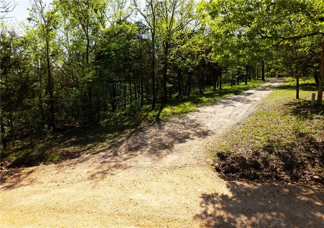 Photo 3 of Land for sale at 401 Cr 246, Berryville, AR 72616 | MLS# 1351071 | Listing updated on 2026-09-25