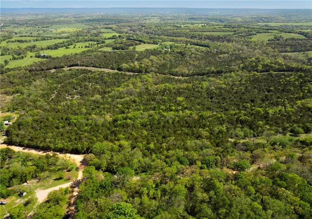 Photo 4 of Land for sale at 401 Cr 246, Berryville, AR 72616 | MLS# 1351071 | Listing updated on 2026-09-25