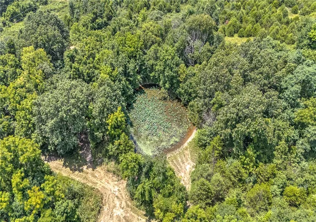 Photo 3 of Land for sale at 19807 Highway 127, Garfield, AR 72732 | MLS# 1351396 | Listing updated on 2026-08-18