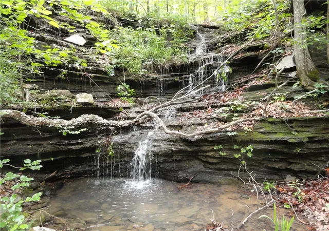 1st image of 0000 Holly Mtn Rd, Clinton, AR 72031 | MLS# 1351908