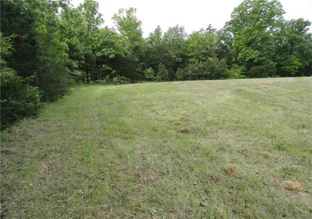3rd image of 0000 Holly Mtn Rd, Clinton, AR 72031 | MLS# 1351908