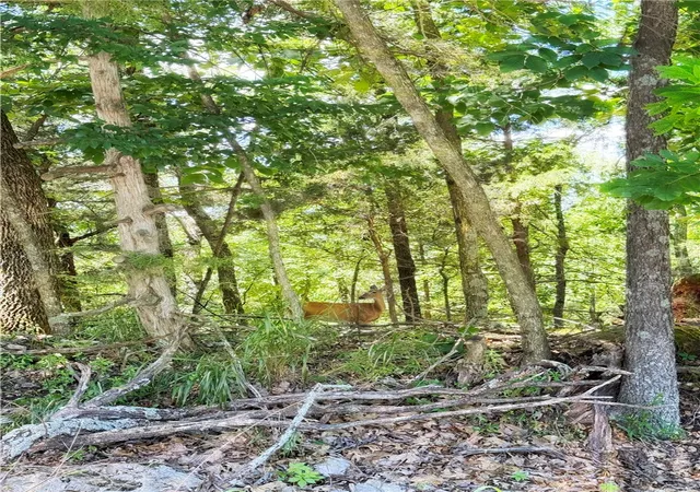 Photo 1 of Land for sale at Lot 94 Oak Leaf Cir, Garfield, AR 72732 | MLS# 1352063 | Listing updated on 2026-08-06