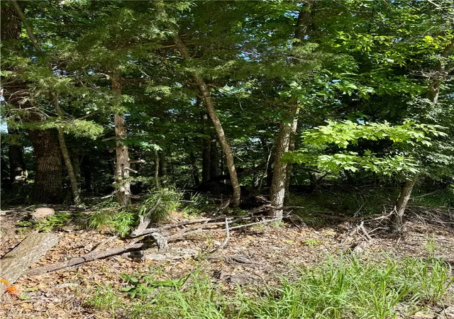 Photo 3 of Land for sale at Lot 94 Oak Leaf Cir, Garfield, AR 72732 | MLS# 1352063 | Listing updated on 2026-08-06