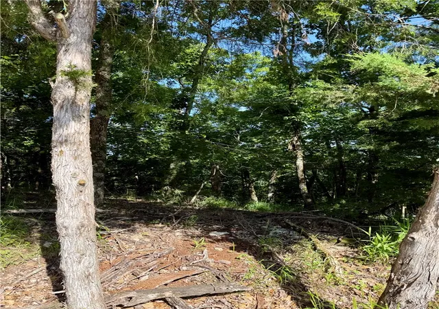 Photo 3 of Land for sale at Lot 94 Oak Leaf Cir, Garfield, AR 72732 | MLS# 1352063 | Listing updated on 2026-08-06