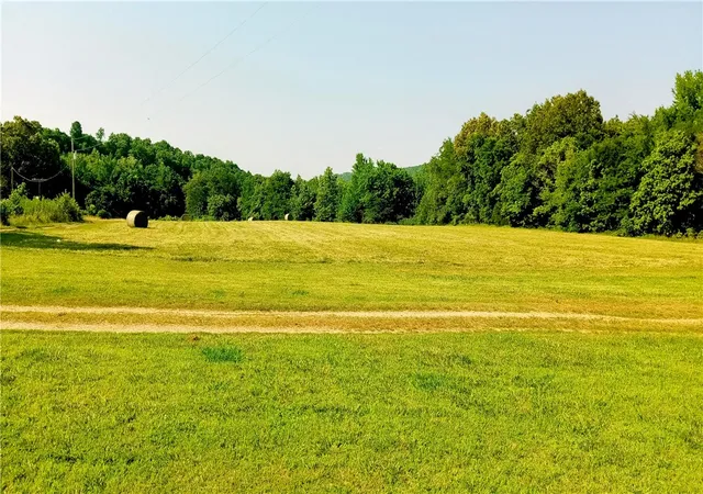 4th image of 281 County Road 9953, Green Forest, AR 72638 | MLS# 1352085