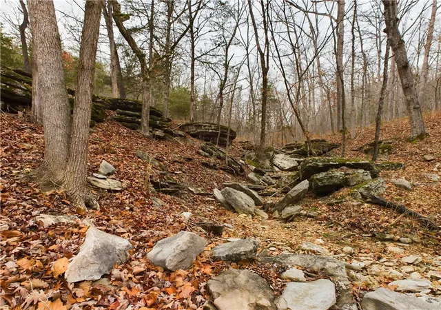 47th image of 1755 Nc 3400, Marble Falls, AR 72648 | MLS# 1352458